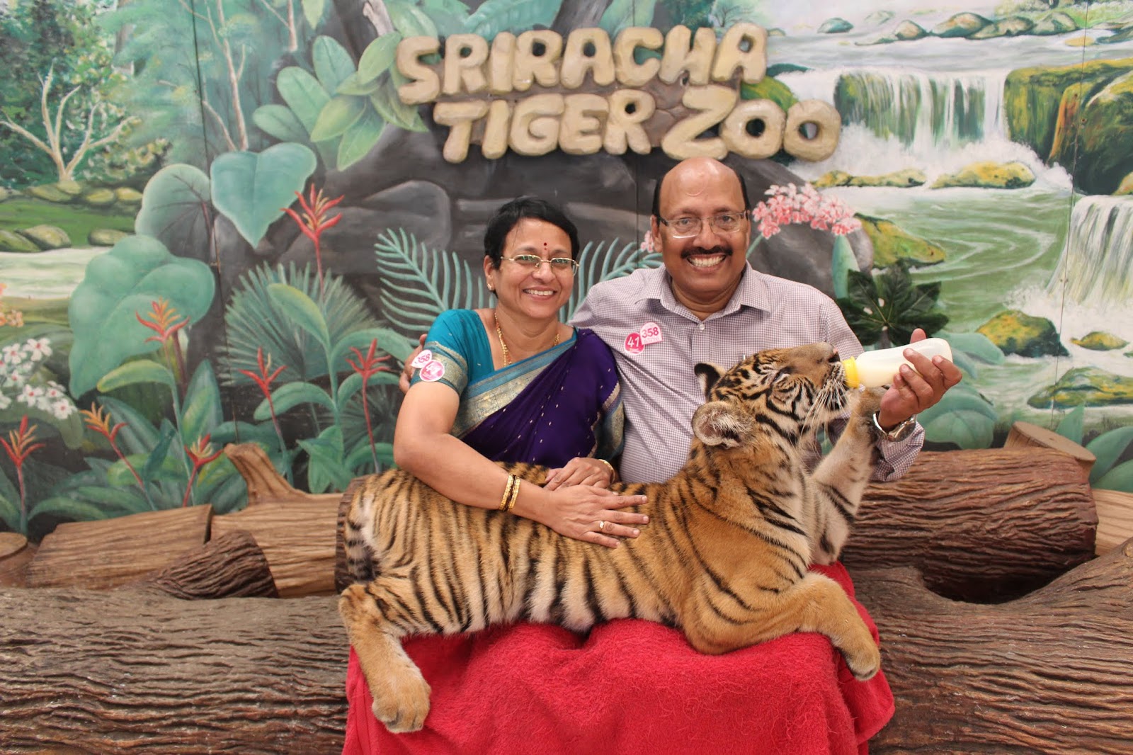 Raghu s column Tigers eat meat and a lot of it but not this